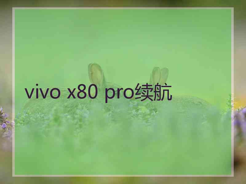 vivo x80 pro续航