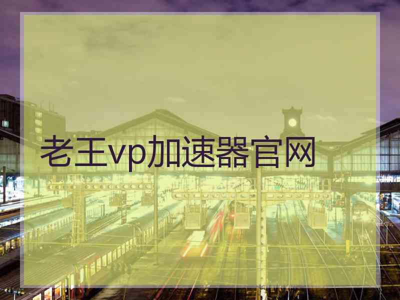 老王vp加速器官网