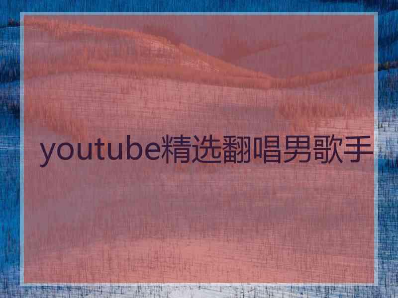 youtube精选翻唱男歌手