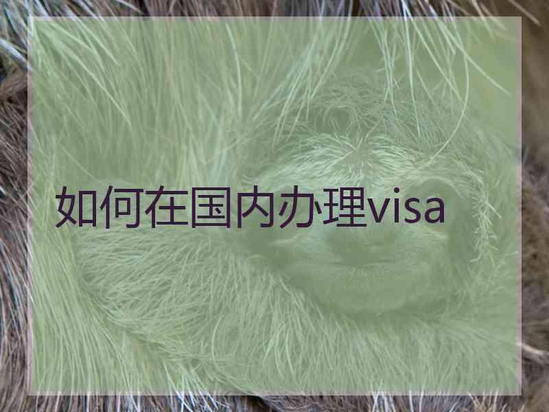 如何在国内办理visa