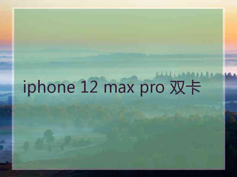 iphone 12 max pro 双卡