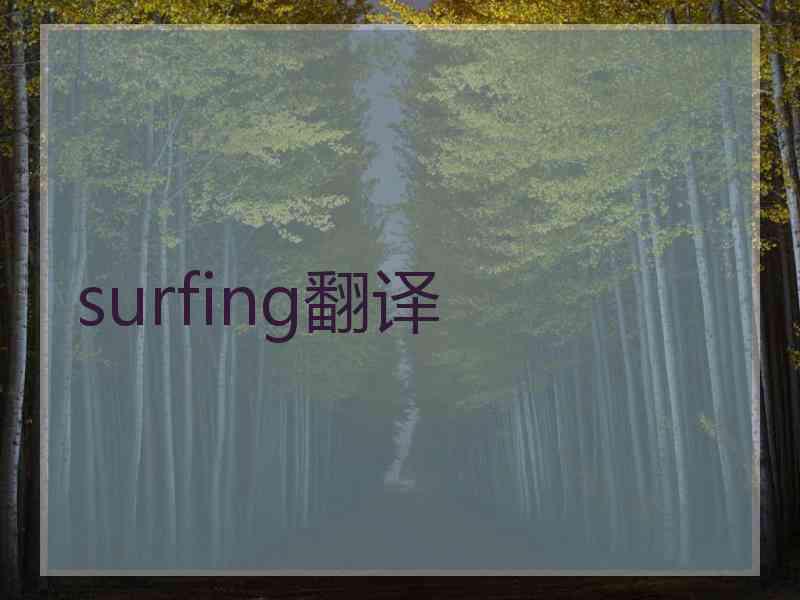 surfing翻译