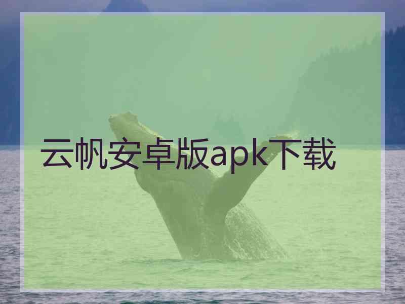 云帆安卓版apk下载