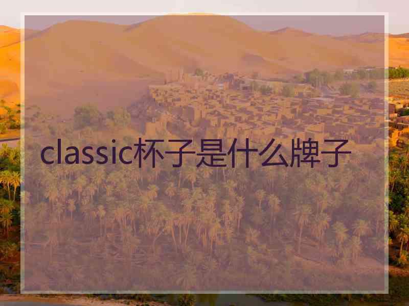 classic杯子是什么牌子