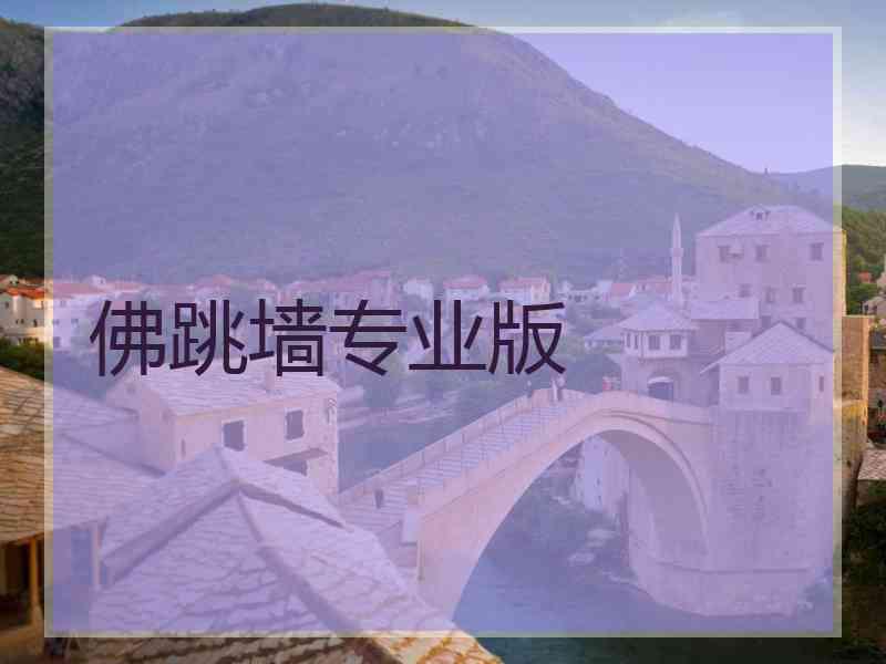 佛跳墙专业版