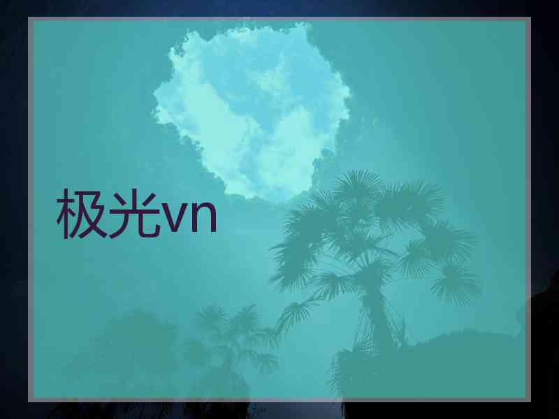 极光vn