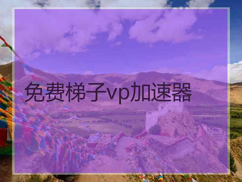 免费梯子vp加速器