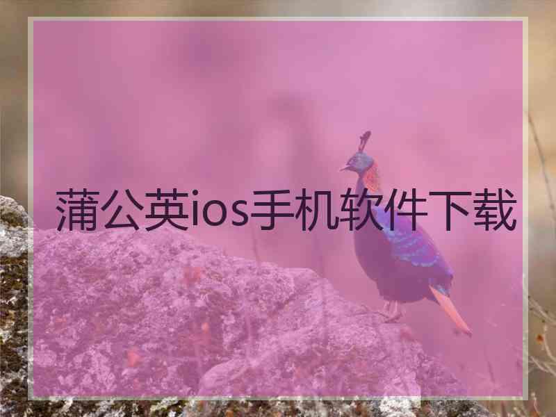 蒲公英ios手机软件下载