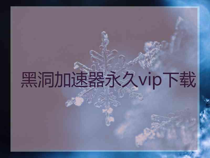 黑洞加速器永久vip下载