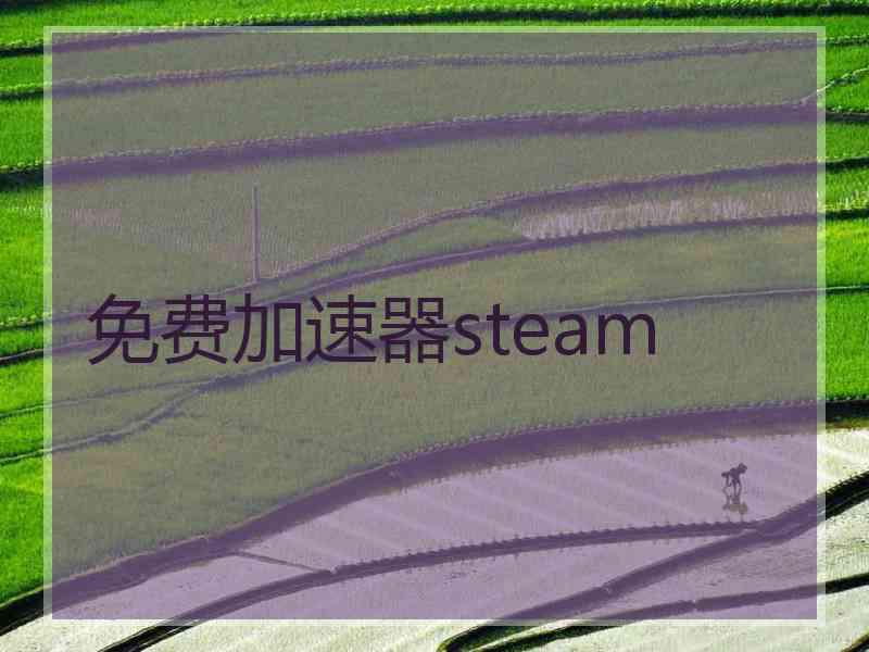 免费加速器steam