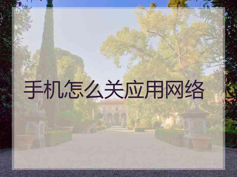 手机怎么关应用网络