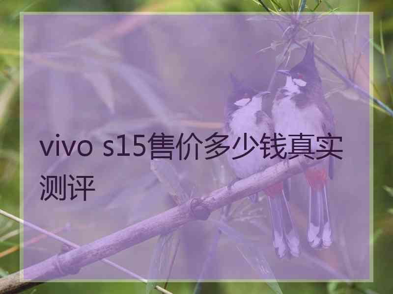 vivo s15售价多少钱真实测评