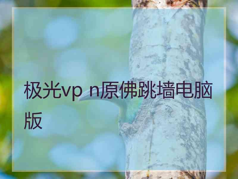 极光vp n原佛跳墙电脑版