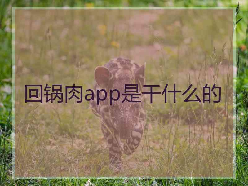 回锅肉app是干什么的