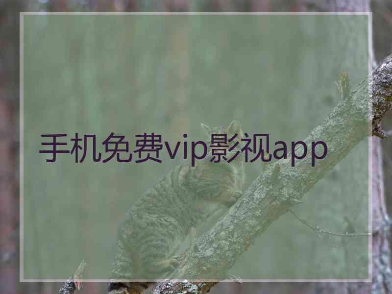 手机免费vip影视app