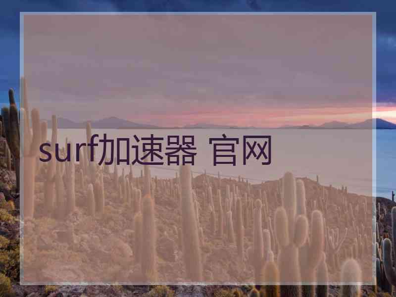 surf加速器 官网