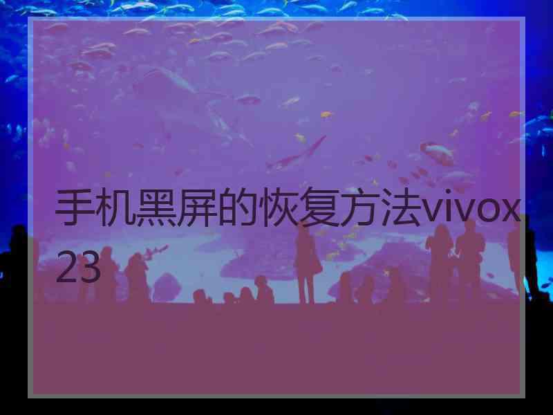 手机黑屏的恢复方法vivox23