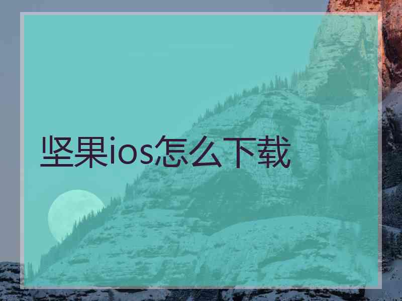 坚果ios怎么下载