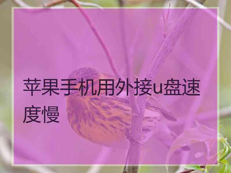 苹果手机用外接u盘速度慢