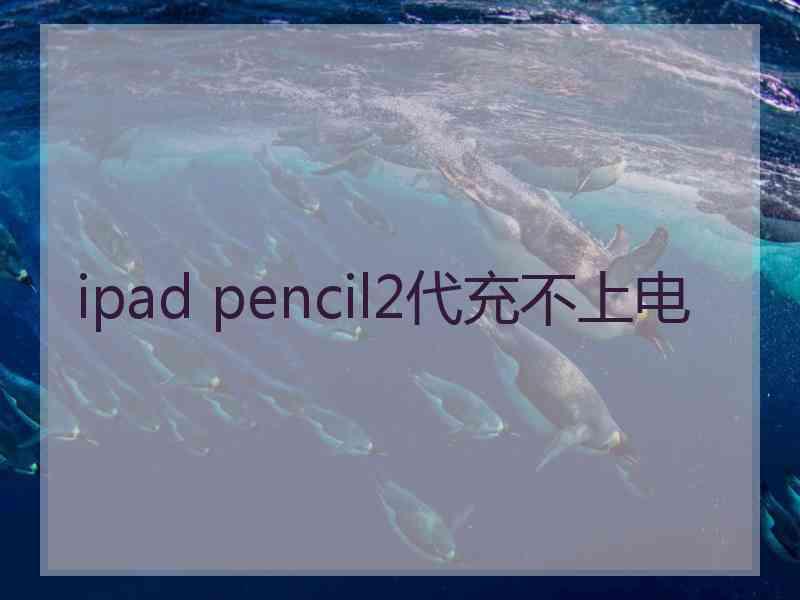 ipad pencil2代充不上电