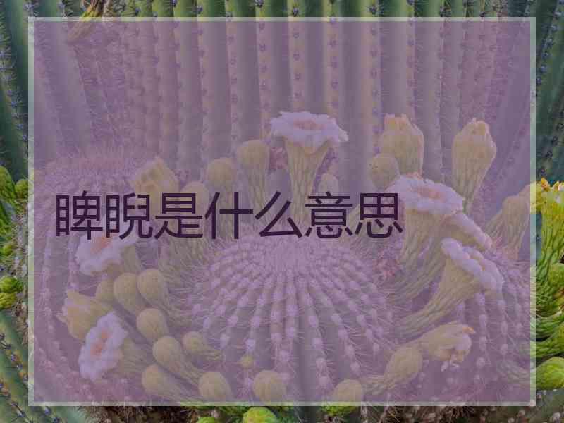 睥睨是什么意思