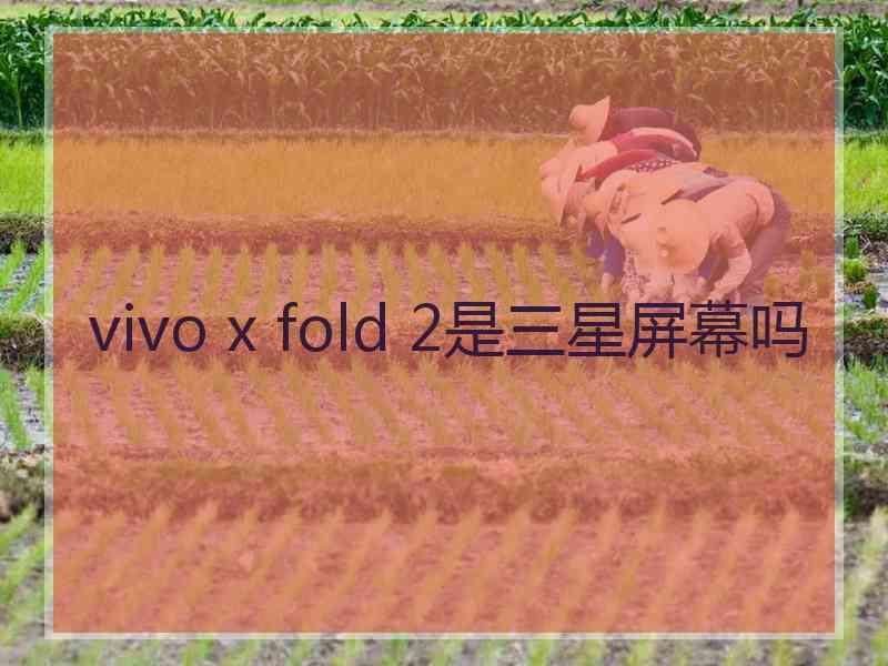 vivo x fold 2是三星屏幕吗