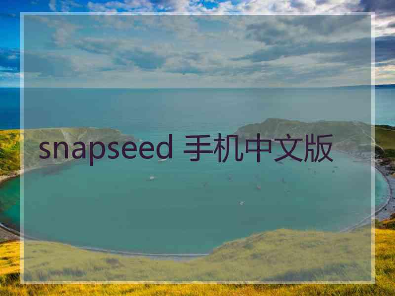 snapseed 手机中文版