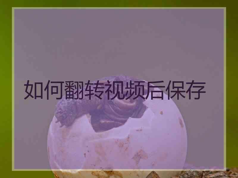 如何翻转视频后保存