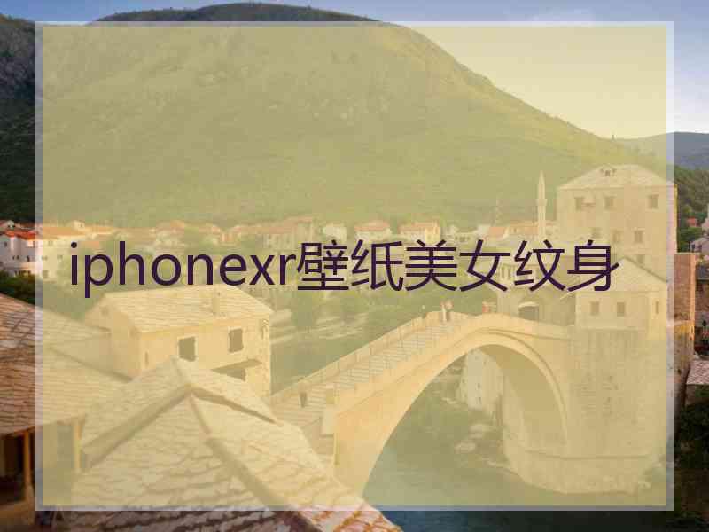 iphonexr壁纸美女纹身