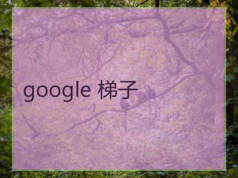 google 梯子