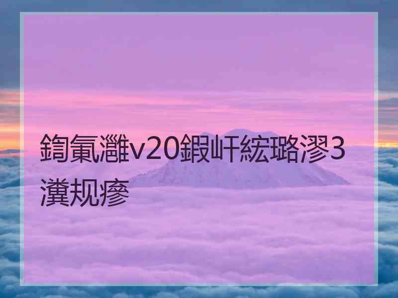 鍧氭灉v20鍜屽綋璐漻3瀵规瘮