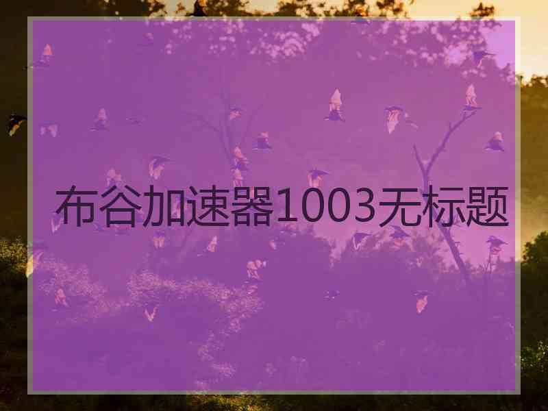 布谷加速器1003无标题