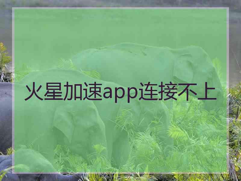 火星加速app连接不上