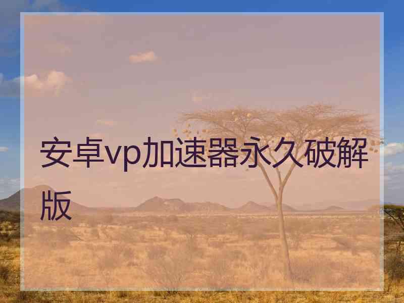 安卓vp加速器永久破解版