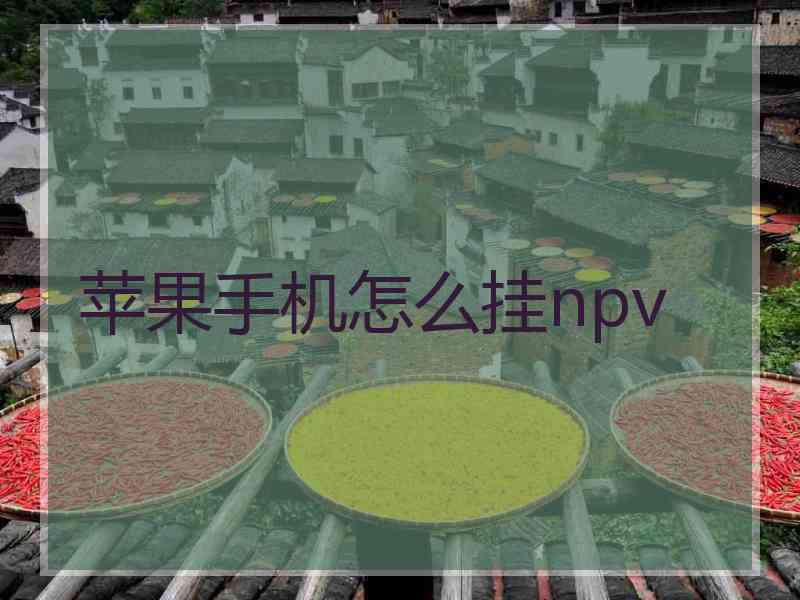 苹果手机怎么挂npv