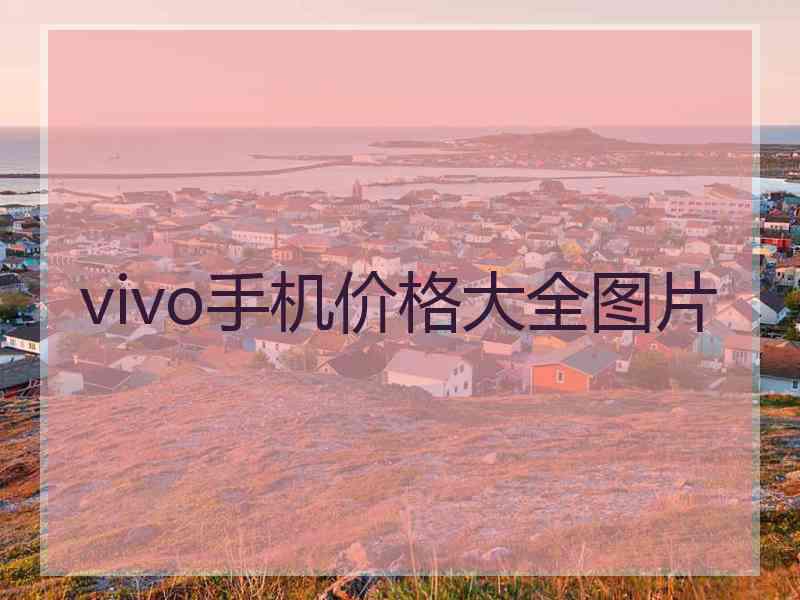 vivo手机价格大全图片