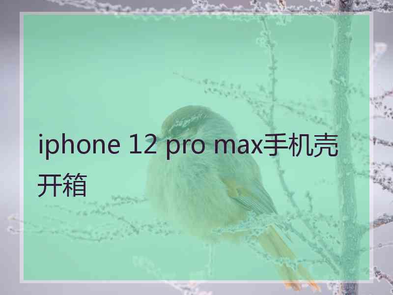 iphone 12 pro max手机壳开箱