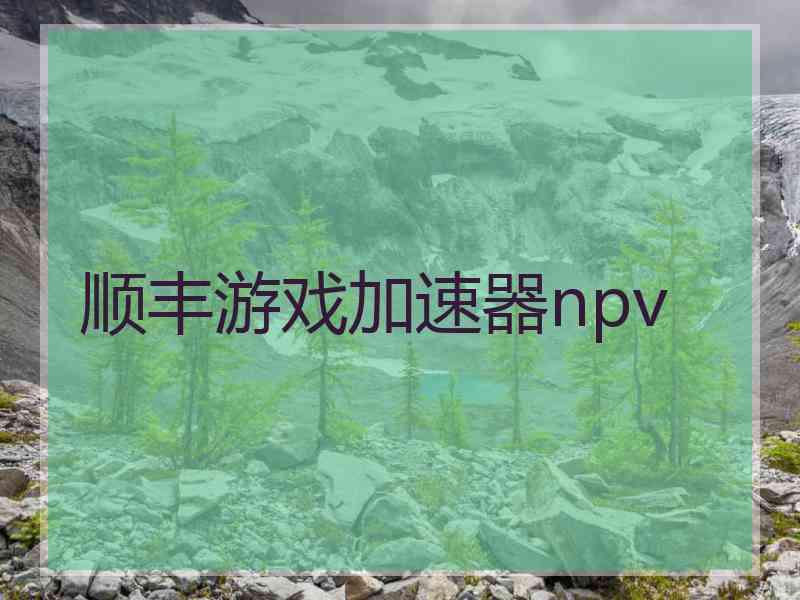 顺丰游戏加速器npv