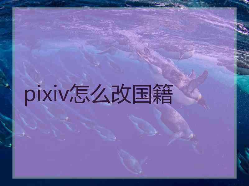 pixiv怎么改国籍