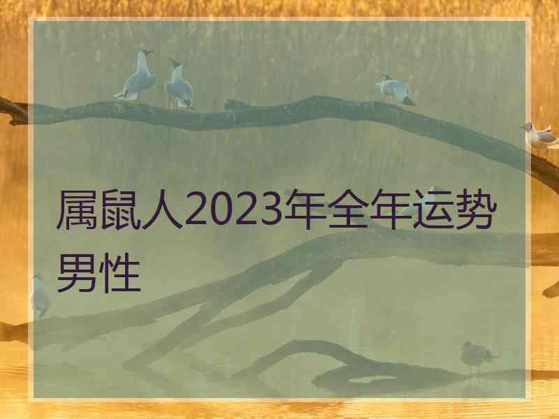 属鼠人2023年全年运势男性