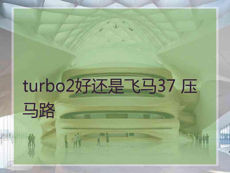 turbo2好还是飞马37 压马路