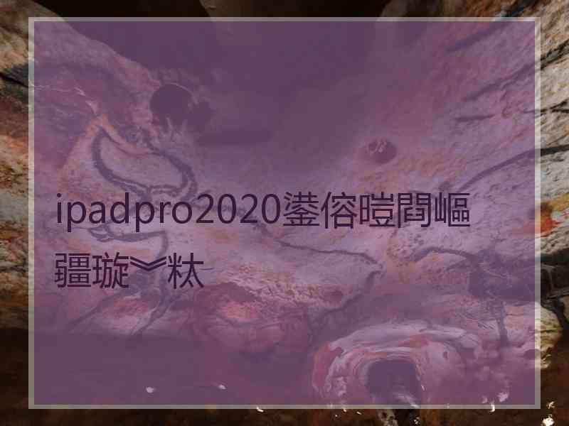 ipadpro2020鍙傛暟閰嶇疆璇︾粏