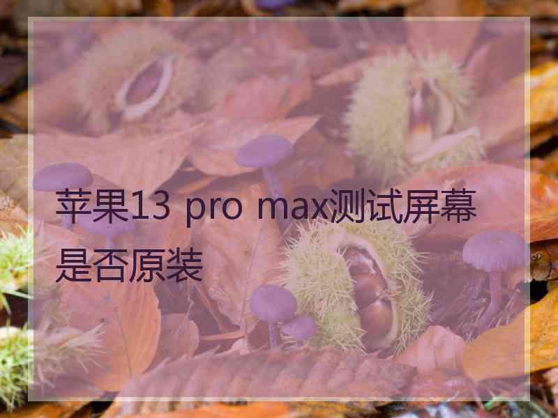 苹果13 pro max测试屏幕是否原装