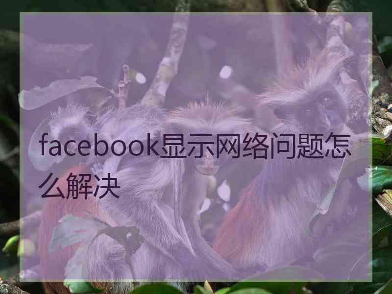 facebook显示网络问题怎么解决