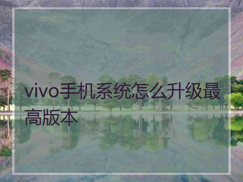 vivo手机系统怎么升级最高版本