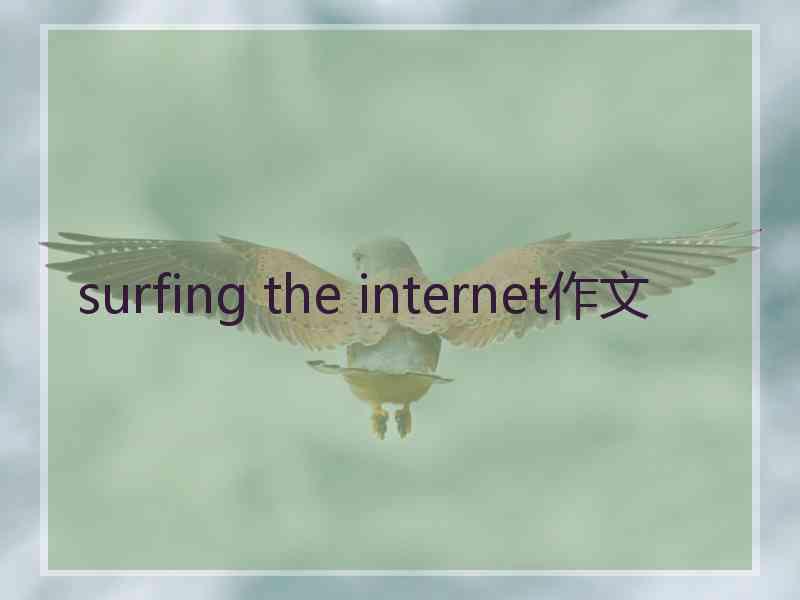 surfing the internet作文