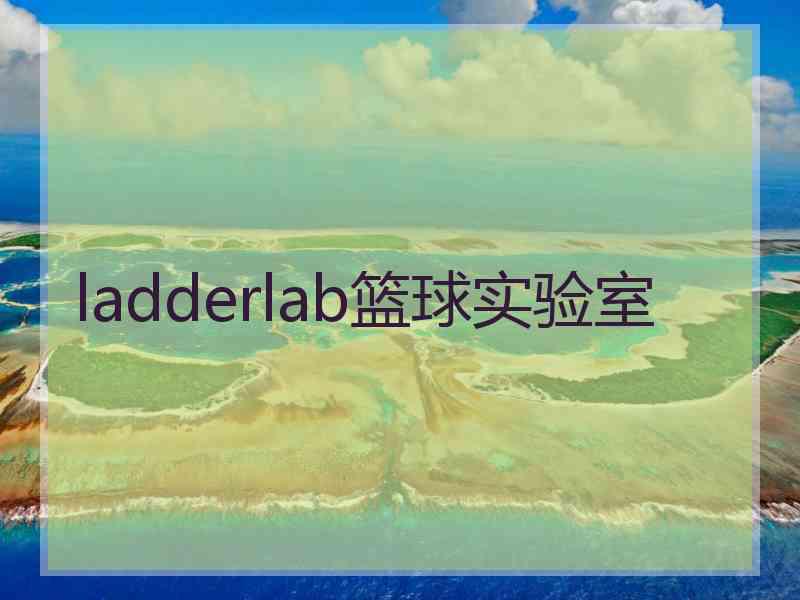 ladderlab篮球实验室