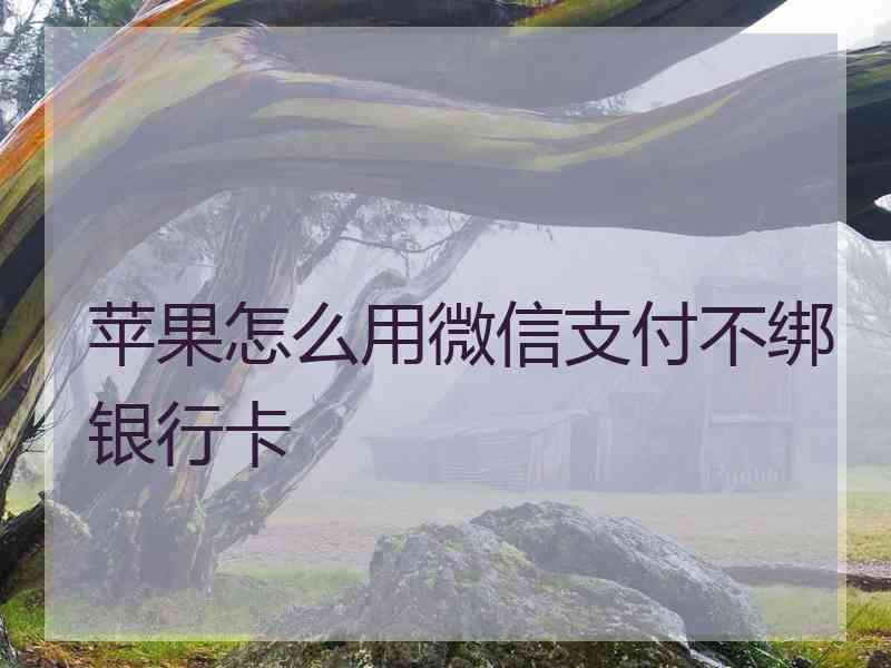 苹果怎么用微信支付不绑银行卡