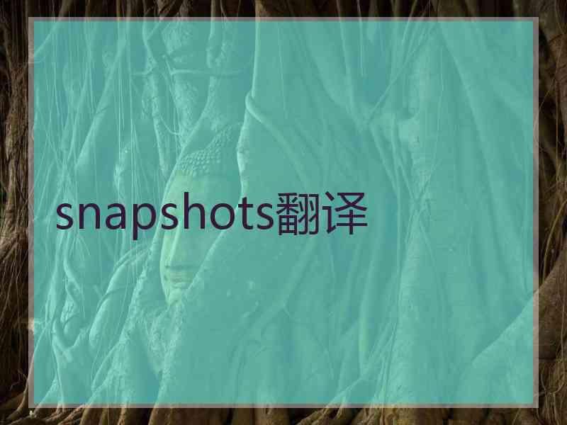 snapshots翻译