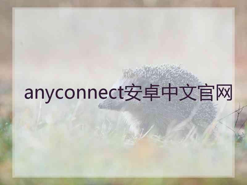 anyconnect安卓中文官网